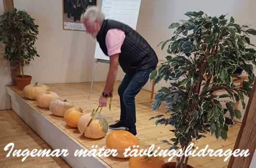 Pumpamätning