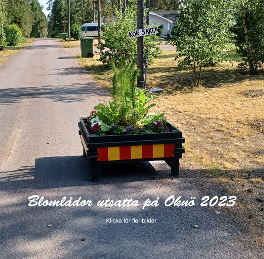 Blomlådor Oknö 2023