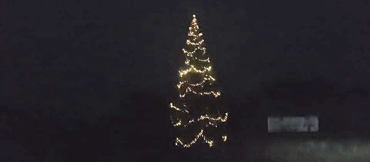 2019 års julgran på Oknö